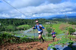 BIB: 
                            <button type="button" onclick="openModal(13379569)" class="btn btn-primary btn-sm float-right btn-popup" data-toggle="modal" data-target=".modal-high-quality">
                        <i class="fas fa-shopping-cart"></i> Add to Cart
                    </button>
                                            <button type="button" onclick="isThisMe(13379569, true)" class="btn btn-success btn-sm float-right btn-popup btn-isme hidden" data-toggle="tooltip" data-placement="bottom" title="นี่คือรูปของคุณใช่ไหม คลิกที่นี่เพื่อเอาเข้าอัลบั้ม">
                        <i class="fas fa-plus"></i> Add to album
                    </button>
                    <button type="button" onclick="isThisMe(13379569, false)" class="btn btn-warning btn-sm float-right btn-popup btn-isnotme hidden">
                        <i class="fas fa-ban"></i> Remove from album
                    </button>